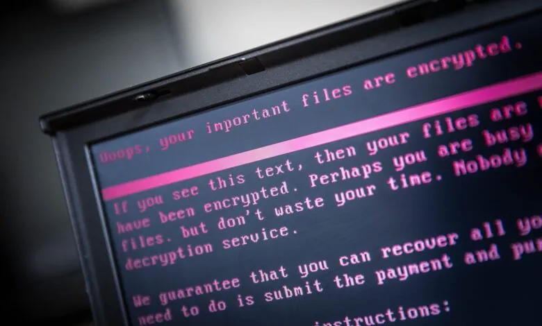 Computer screen displaying a ransomware message with pink text on a black background.