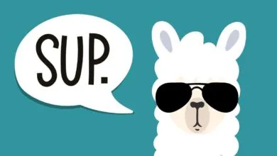 Unlock Meta Llama: Your Complete Guide to the Open AI Model