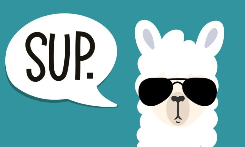 A cartoon llama wearing sunglasses with a speech bubble saying SUP.
