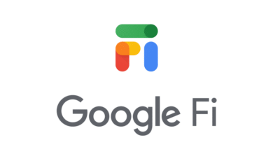 Google Fi logo with colorful 'Fi' icon and text
