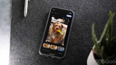 Smartphone displaying Google Photos app with AI editing options for a dog photo.
