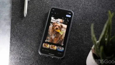 Google’s ‘Ask Photos’ Missing in Some States Due to Face Grouping