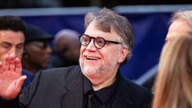 Guillermo del Toro's Stark Warning About AI Art's Future