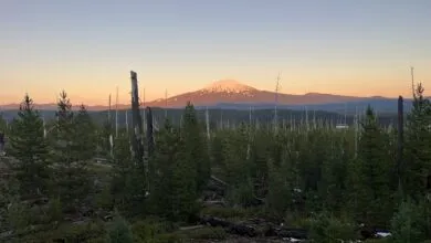 Lost in a Snowy Wilderness: A Hiker’s Ordeal