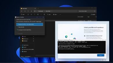 Windows 11's Latest Insider Preview: 12 New Features