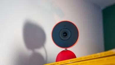 Google’s Gemini AI Keeps Confusing My Dog for a Cat