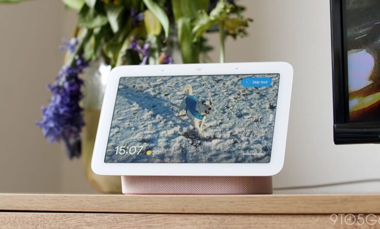 Google Nest Hub 2nd Gen displaying a photo of a dog in a blue jacket on a snowy surface.