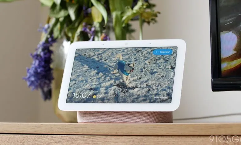 Google Nest Hub 2nd Gen displaying a photo of a dog in a blue jacket on a snowy surface.