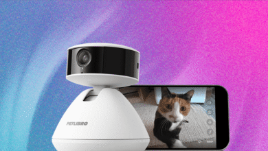 Petlibro Scout Smart Camera Review: Features vs. Flaws