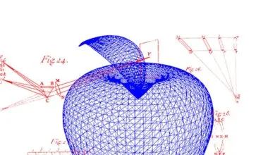 Wireframe model of an apple with scientific diagrams and annotations.