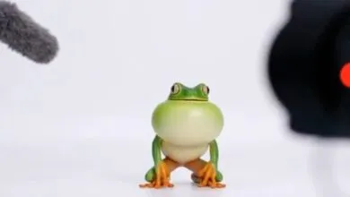 OpenAI’s Sora Adds Reusable Characters and Video Stitching