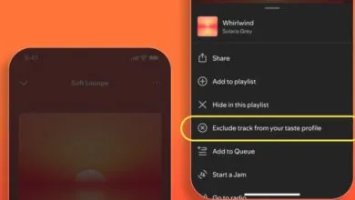 Take Control of Your Spotify Recommendations