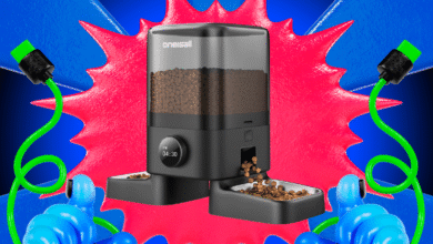 Top October 2025 Prime Day Pet Deals