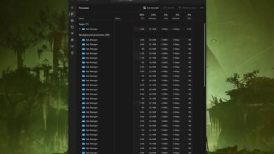 Windows 11 Task Manager showing numerous background processes consuming minimal resources.
