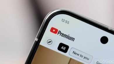 Close-up of a smartphone screen displaying the YouTube Premium interface.