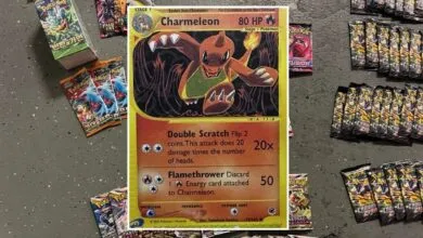 Pokémon Card Collection Destroyed in Heartbreaking Loss