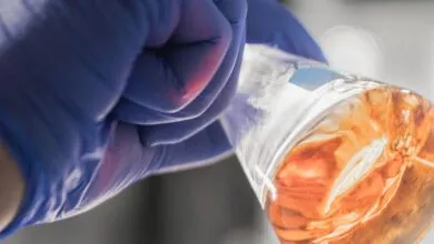 Microbes Unlock Copper as AI Demand Soars