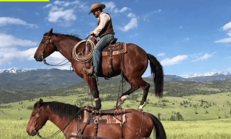 Cowboy standing on one horse while riding another horse in a grassy field.