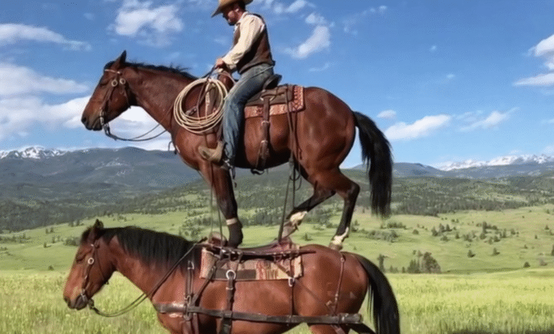 Cowboy stands on one horse while riding another horse in a grassy field.