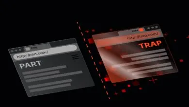 Unmasking BiDi Swaps: The Fake URL Threat