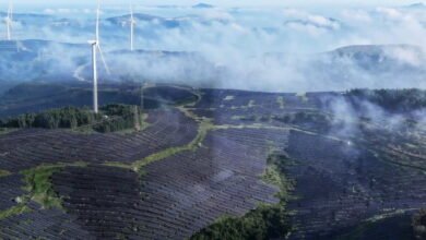 Aerial view of a vast solar farm and wind turbines on a misty mountainside.