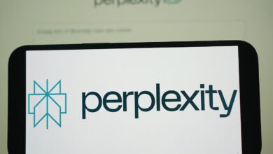 Close-up of a smartphone screen displaying the Perplexity AI logo and website.