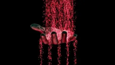 Clop Ransomware Group Claims Oracle Data Theft in New Extortion Emails