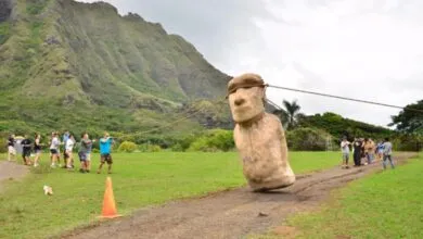 A group of people pulling a replica Moai statue with ropes across a grassy field.