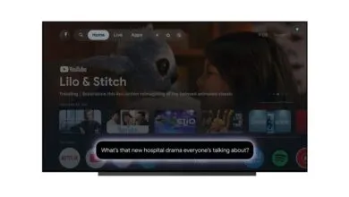 Google TV interface displaying 'Lilo & Stitch' and a voice search prompt.