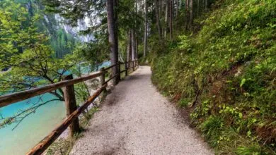 6 Business Leaders Share Their Work-Life Balance Secrets