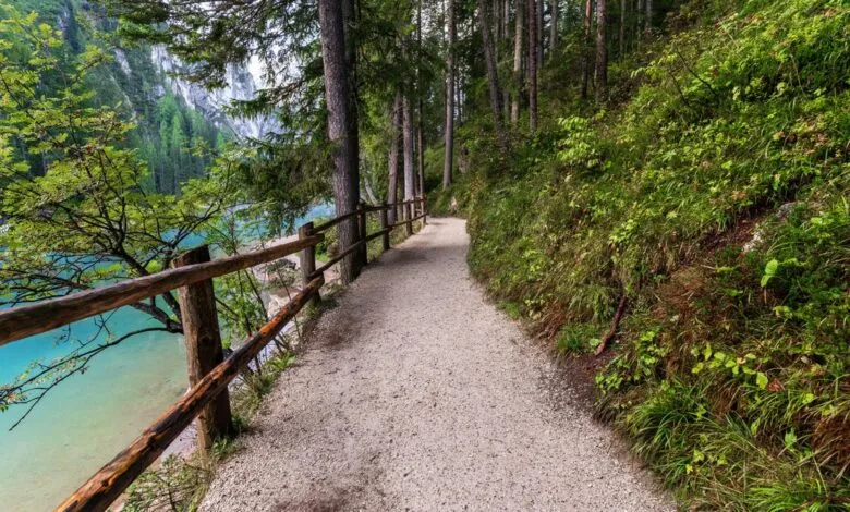 A gravel path winds through a forest next to a vibrant turquoise lake.