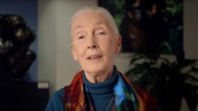 Remembering Jane Goodall: Celebrating the Life of a Legendary Primatologist