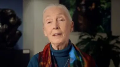 Portrait of Dr. Jane Goodall, a renowned primatologist, speaking.