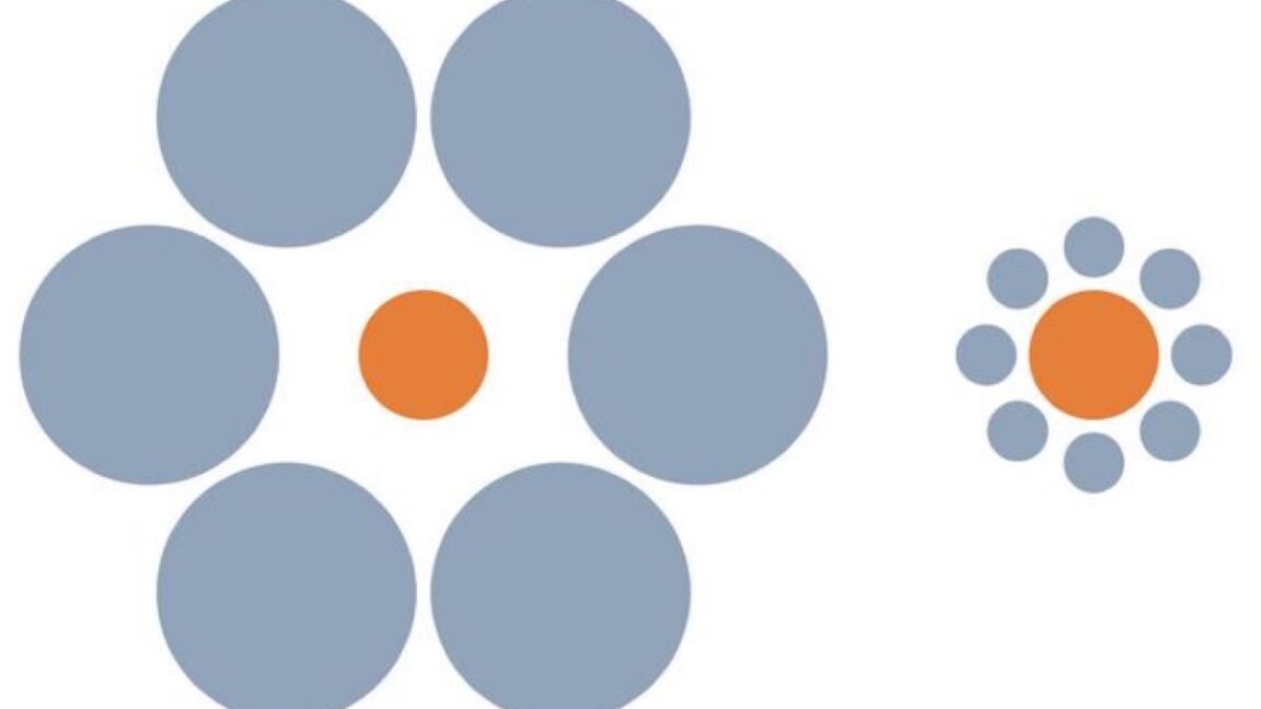 Optical illusion showing a large orange circle surrounded by gray circles, and a smaller orange circle surrounded by gray circles.