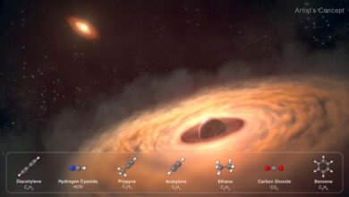 Carbon-Rich Disk Found Around Giant Exoplanet
