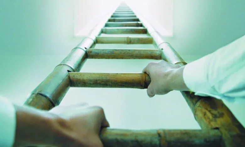 Hands gripping a bamboo ladder ascending towards a bright light.