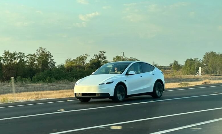 A white Tesla Model Y drives on a highway with trees and a cloudy sky.