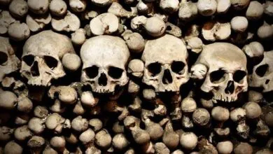 Microsoft Silent as Hackers Exploit WSUS Server Bug