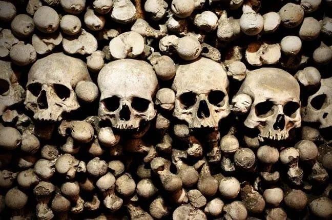 A wall of human skulls and bones, arranged in a macabre display.