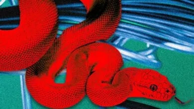 Beware: This ‘Privacy Browser’ Has Hidden Dangers