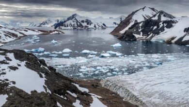Dramatic aerial view of an Antarctic bay filled with icebergs and glaciers under a cloudy sky.