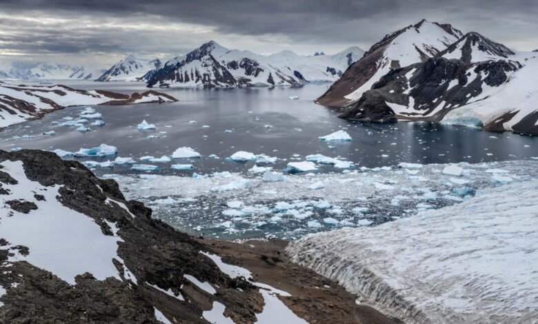 Dramatic aerial view of an Antarctic bay filled with icebergs and glaciers under a cloudy sky.