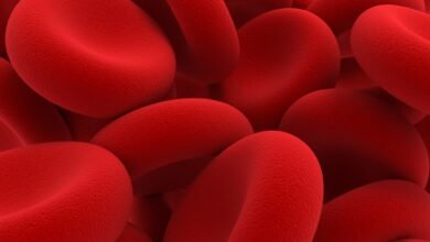 Close-up 3D render of red blood cells, showing their biconcave disc shape.