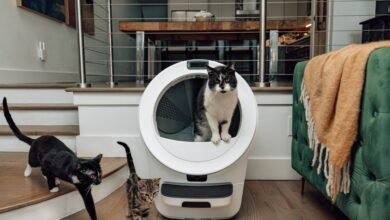 New Litter-Robot Uses AI to Recognize Your Cat's Unique Features