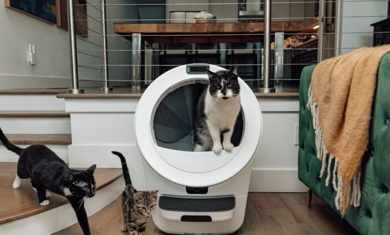 Three cats interacting with a self-cleaning litter box in a modern home.