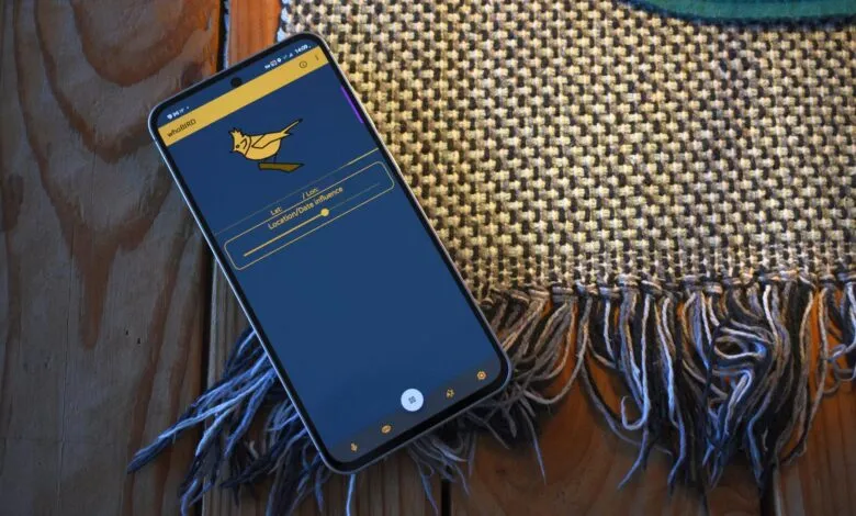 Smartphone displaying the 'whoBIRD' app with a yellow bird logo and input fields for location and date.