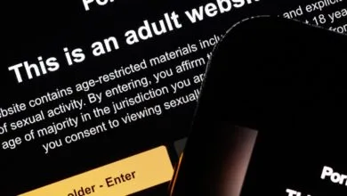 Warning: This Porn Site Installs Malware On Your Device