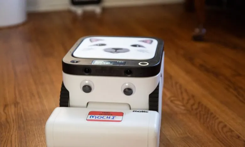 A white robot vacuum with a cat face design and googly eyes, named Mochi.