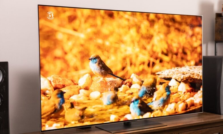 A modern OLED TV displays a vibrant nature scene with birds bathing in water.