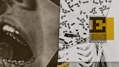 Doctors vs. Conspiracy Theories: Your AI Footprint